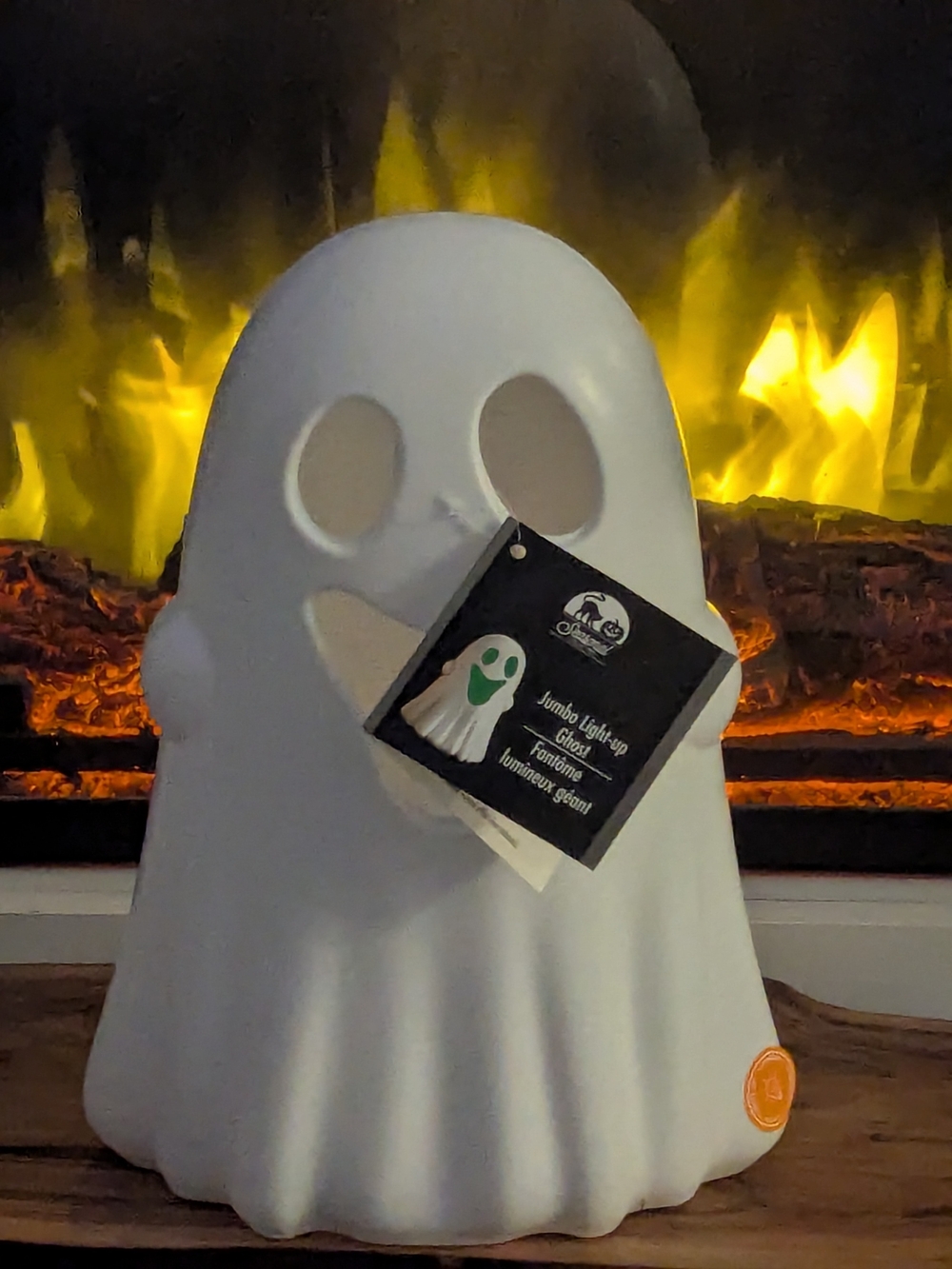 Light-Up Ghost Halloween Decoration 👻